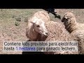 Video Cercos Electricos