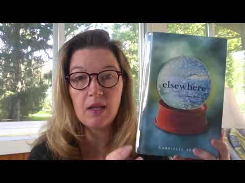 What is the book Elsewhere by Gabrielle Zevin about?
