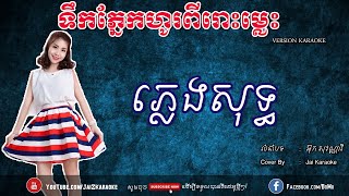 ទឹកភ្នែកហូរពីរោះម្លេះ ភ្លេងសុទ្ធ | Toek Pnek Ho Pirus Miles Pleng Sot