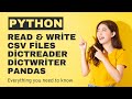Python: Read and write csv files, dictReader, dictWriter and pandas