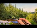 Easy Technique to Paint Realistic Pine Trees