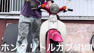 【始動】ホンダ リトルカブ 50 AA01-3024×××