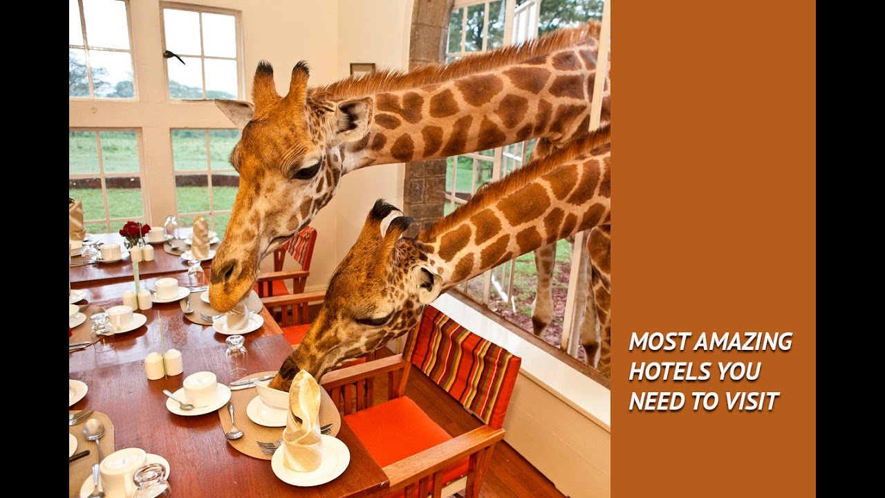 MOST AMAZING HOTELS YOU NEED TO VISIT. MOST EXOTIC HOTELS IN THE WORLD ...