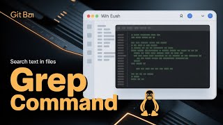 Linux grep Command | Search Text in Files with Git Bash