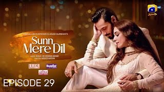 Sunn Mere Dil Episode 29 - [ Review ] - Wahaj Ali \u0026 Maya Ali -  8 Jan 2024