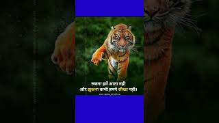 best motivation quote in hindi #shorts #motivation #viral #trending #PLPmotivationquote