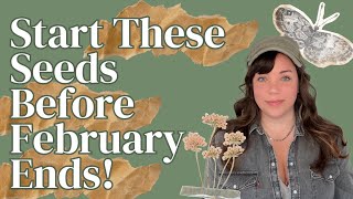 Seeds You HAVE to Start before February Ends! || Cold Season Crops & Flowers #homestead #gardening