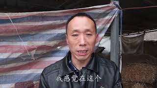 颗粒机养羊实用不实用，养殖大哥真情告白，买养殖机械一定要慎重