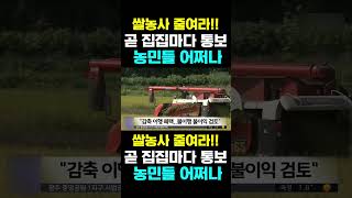 [한국농수산TV] 쌀농사 줄여라!! 곧 집집마다 통보...  농민들 어쩌나