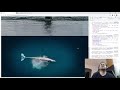Intersection Observers to know when element is appearing on viewport / other element