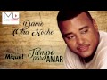 Dame Otra Noche - Luis Miguel del Amargue - Audio Oficial - Bachata