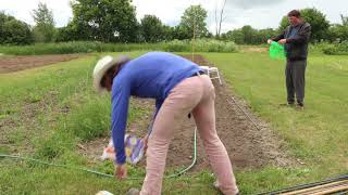 TGFCAE Episode 8  -- Watering Tomatoes and Installing the Pea Fence