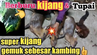 Berburu Kijang Dan Tupai Terbang Di Malam Hari,,Hunting Night Memuaskan