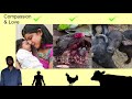 what is veganism telugu వీగనిజం అంటే ఏంటి