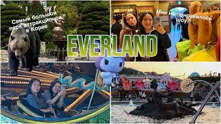 Everland/ деревянная горка T-Express/ самый большой парк аттракционов в Корее