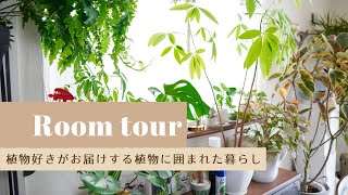 【植物好きがとことん楽しむグリーンインテリア】初のルームツアー＊インテリア実例