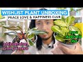 Wishlist Plant Unboxing | Peace Love and Happiness Club | Philodendron Pink Princess + Repot