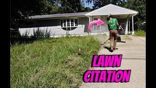 Tall Grass Hides a Surprise! Free Lawn Makeover