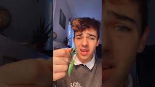 Kyle Thomas 💙 feeding my MANTIS a CRICKET! 🦗 #kylethomas #shorts