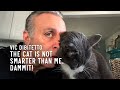 The cat is NOT smarter than me, dammit! | VicDiBitetto.net