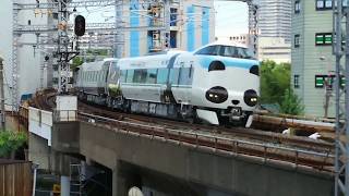 ＪＲ西日本 特急くろしお号 287系パンダ（ラッピング）列車  JR West Nippon Express Kuroishi No. 287 series Panda train