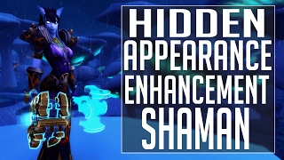 Hidden Artifact | Enhancement Shaman 🐺