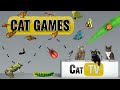 CAT Games | Ultimate Cat TV Bugs and Butterflies Compilation Vol 5 🪲 🐞🦋🦗🐜 | Videos For Cats to Watch