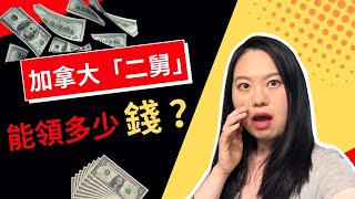 「二舅」在加拿大可以領到哪些福利？