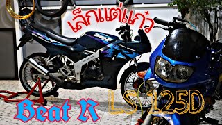 Beat R  Ls 125D เล็กแต่แจ๋ว