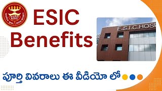 What Are Your ESIC Benefits Entitled To