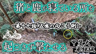 甲斐犬単独猟 第十七話「五感の向こう側」Japanese hunting kaidog