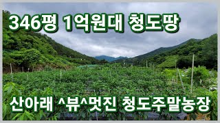 청도군 금천면 산아래 뷰가 멋진 공기좋고 산새좋은 1억원대 346평 청도주말농장 보러오이소 3046