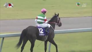 2019 寶塚紀念賽 宝塚記念 雍容白荷 Lys Gracieux リスグラシュー