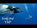 WILD AND FREE YAP ARCHIPELAGO︱NORTH PACIFIC OCEAN︱MICRONESIA BEST DIVING ︱4K VIDEO