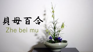 【生け花】バイモユリと庭の花達【ikebana】スノーフレーク/パンジー/野茨/Zhe bei mu/Fritillaria verticillata/貝母/Garden flowers/園林花卉/꽃