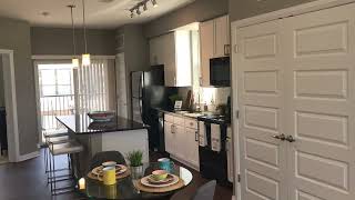 Tuller Flats Two-Bedroom Apartment Virtual Tour - Jack