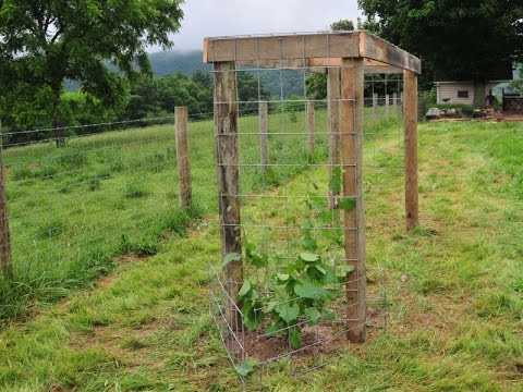Building a Grape Arbor Building a Grape Arbor