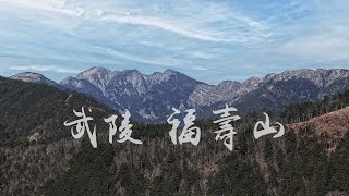 武陵農場 與 福壽山農場  機車旅行  賞櫻快閃之旅  Wuling Farm and Fushoushan Farm