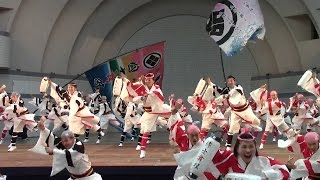 国士無双 原宿表参道元氣祭 スーパーよさこい2016