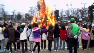 2011-01-09　どんど焼き　in熊本市立桜木小学校