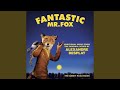 Mr. Fox In The Fields Medley