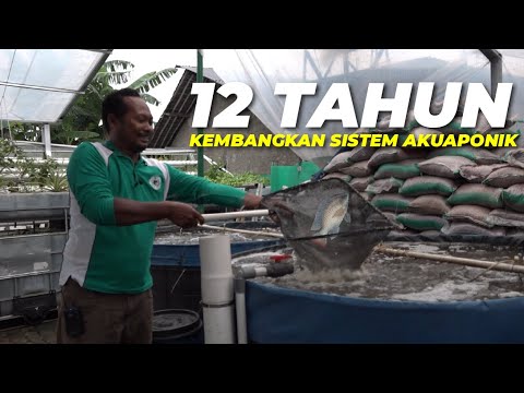 Keuntungan Ganda Budidaya Ikan Konsumsi (Nila, Gurame Dan Lele) Dengan ...