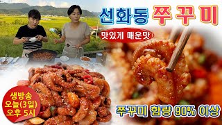 🔴 벌써 5번째, 맛있게 매운맛에 반한 선화동 쭈꾸미, 쭈꾸미 10+1 그리고 우동사리 3개