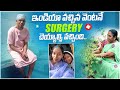 India వచ్చిన వెంటనే surgery Cheyyalsi వచ్చింది💉🥺|అమ్మ Terrace garden ఎంత బాగుందో🪴🏡|#MMindiadiaries2