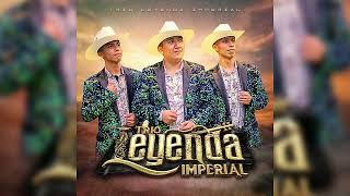 ZAPATEADOS EN VIVO.                                        TRIO LEYENDA IMPERIAL (DAR)