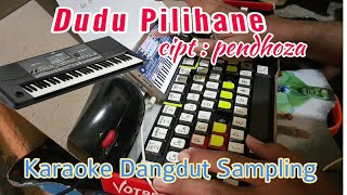 Dudu Pilihane (Pendhoza) KARAOKE nada cowok