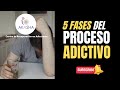 5 FASES DEL PROCESO ADICTIVO