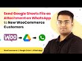 Send Google Sheets File as Attachment on WhatsApp to New WooCommerce Customers