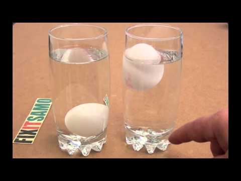 Are You Eating Fresh Eggs ? Kitchen Hack Are You Eating Fresh Eggs ? Kitchen Hack