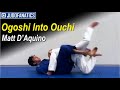 Ogoshi Into Ouchi by Matt D'Aquino